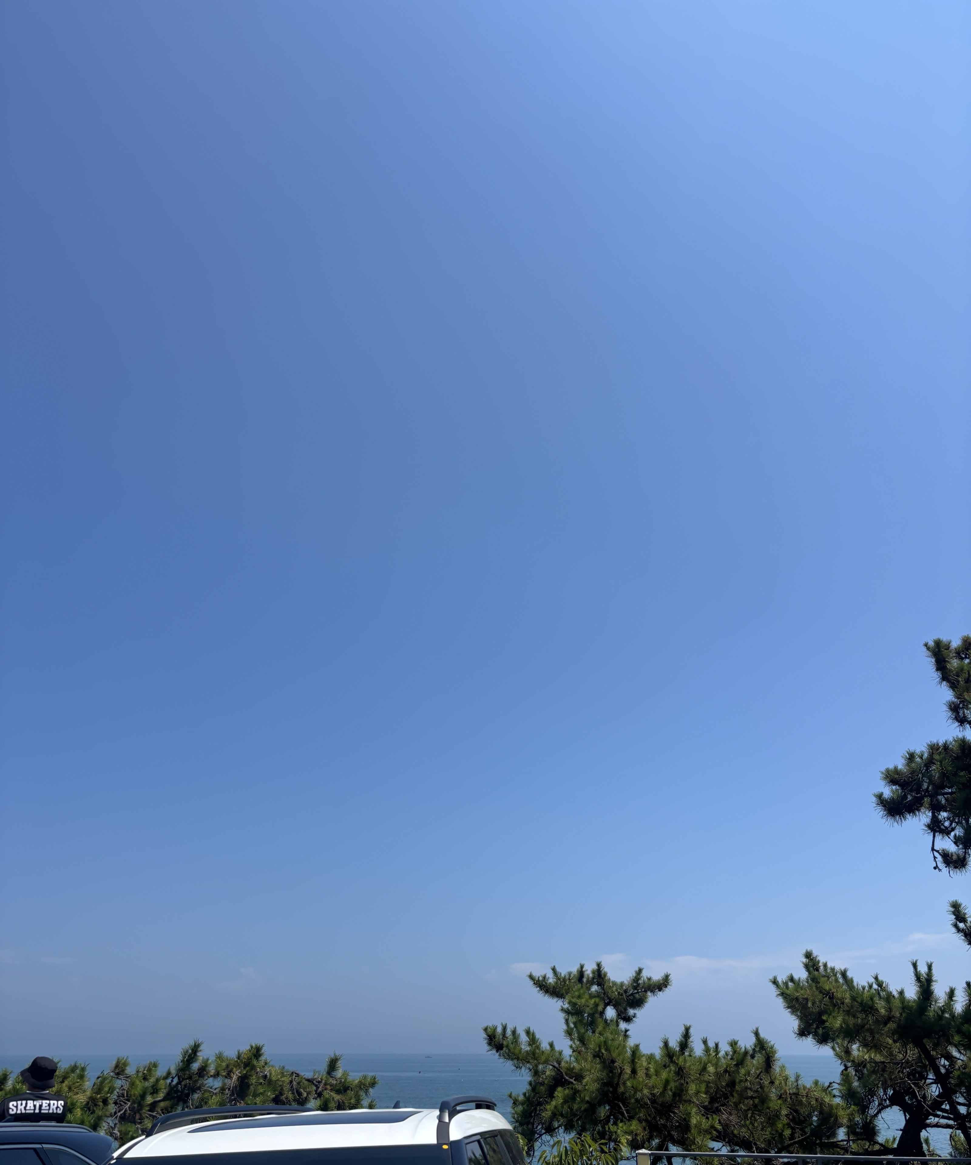 ╰✤ 금아