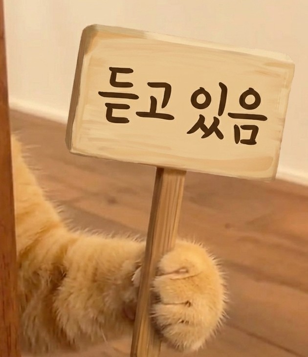 뽀그리 𖧧 