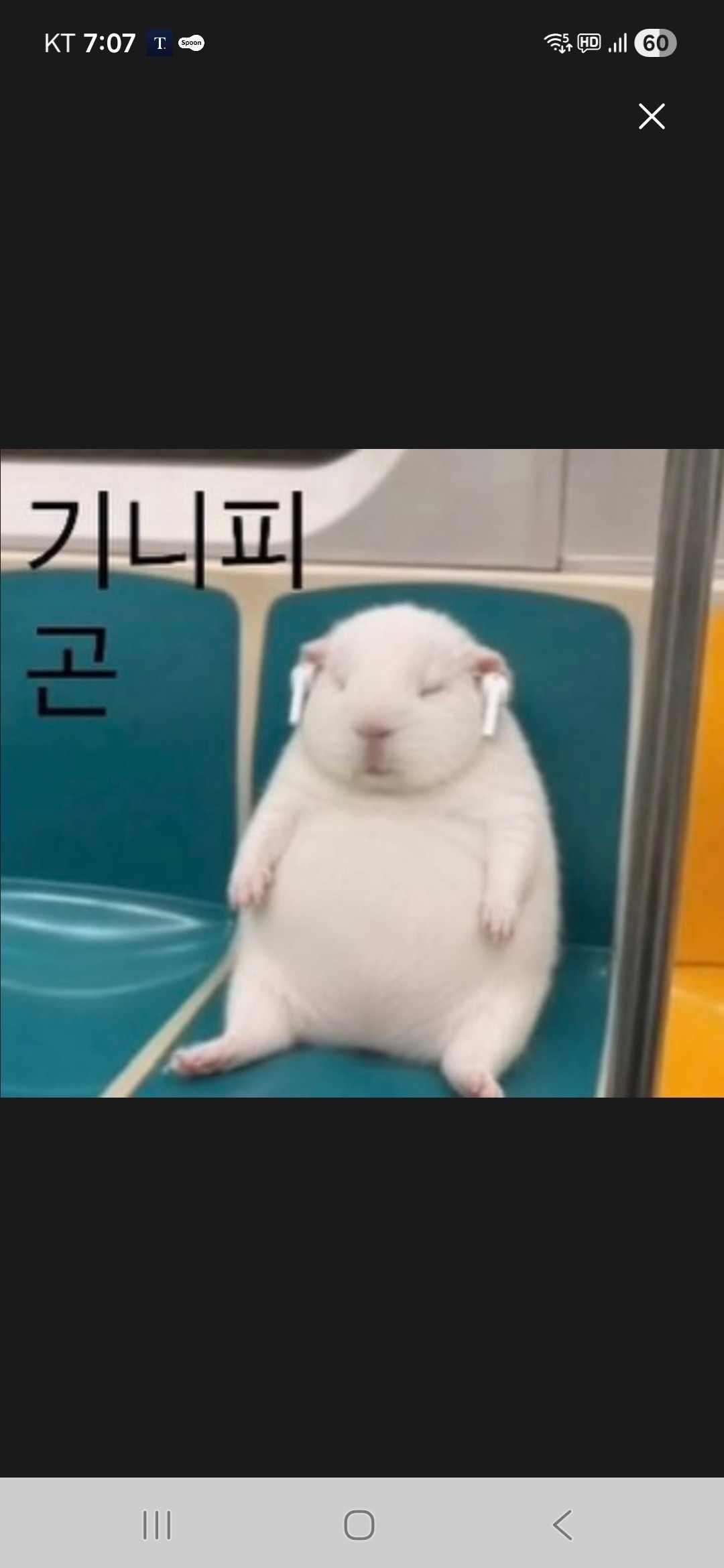 𝓗𝓮𝓲𝔃𝓵𝓮ᝰ☕🎶 강쥐