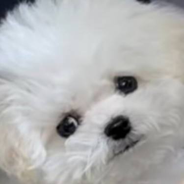 ๋ ๋ฌด ๐งง