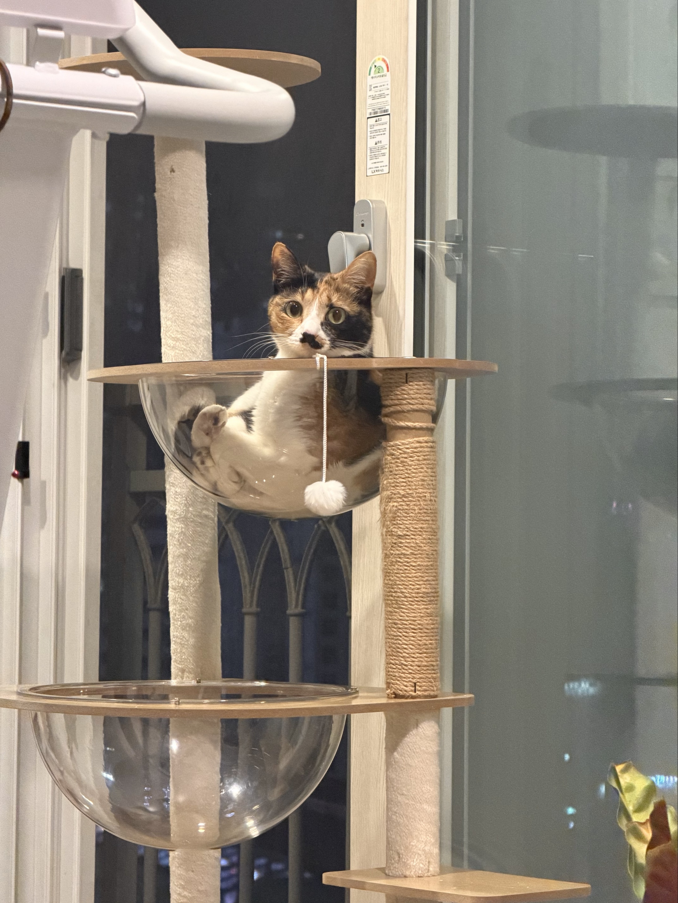 ㄷㅏ빈