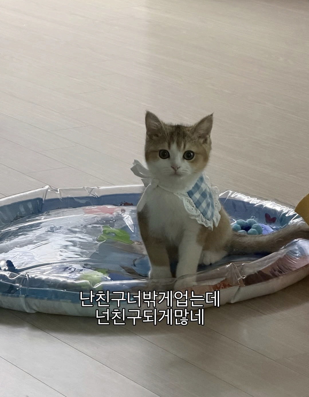 은 하 ◜◡◝