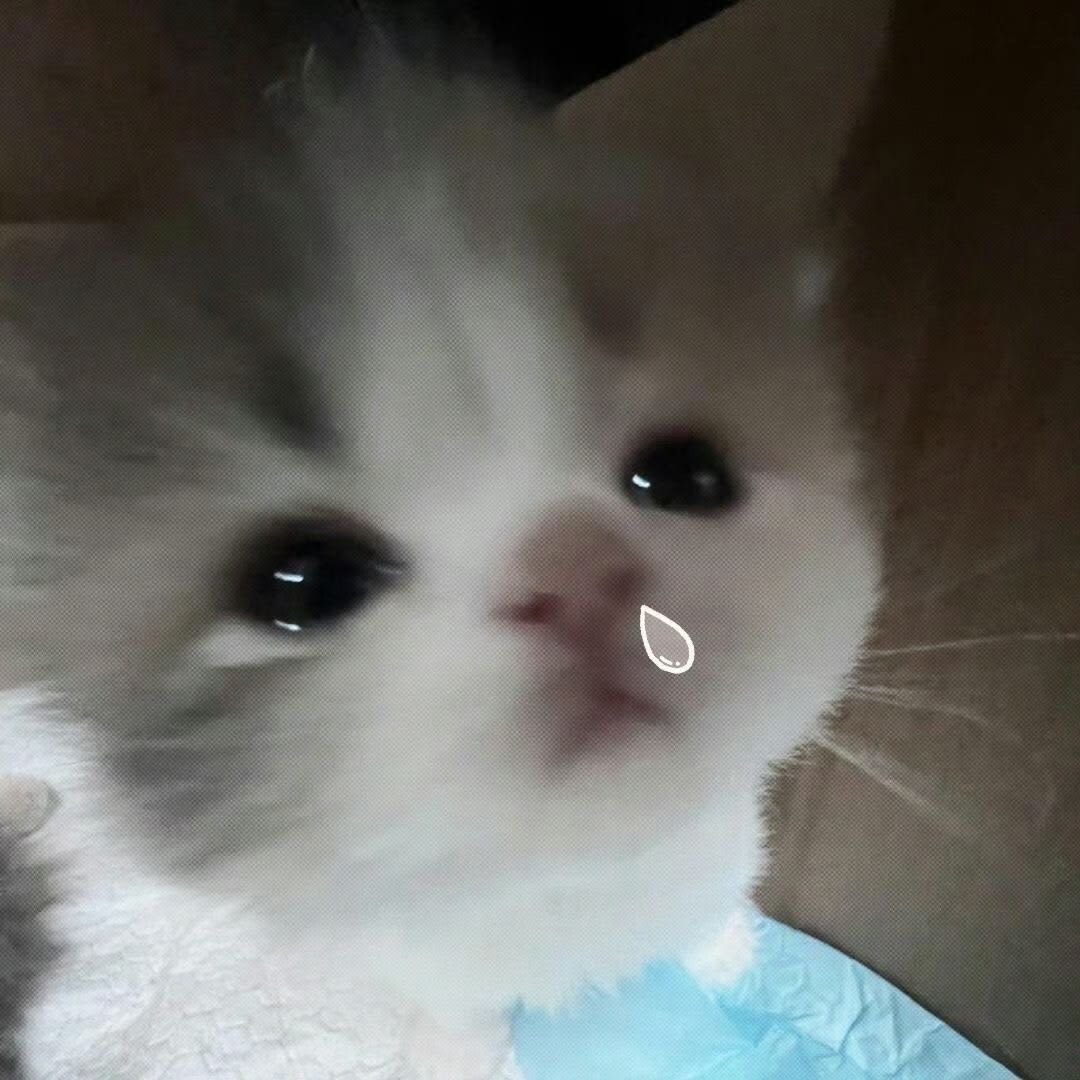 ๐๐ฆ๐๐ ๐