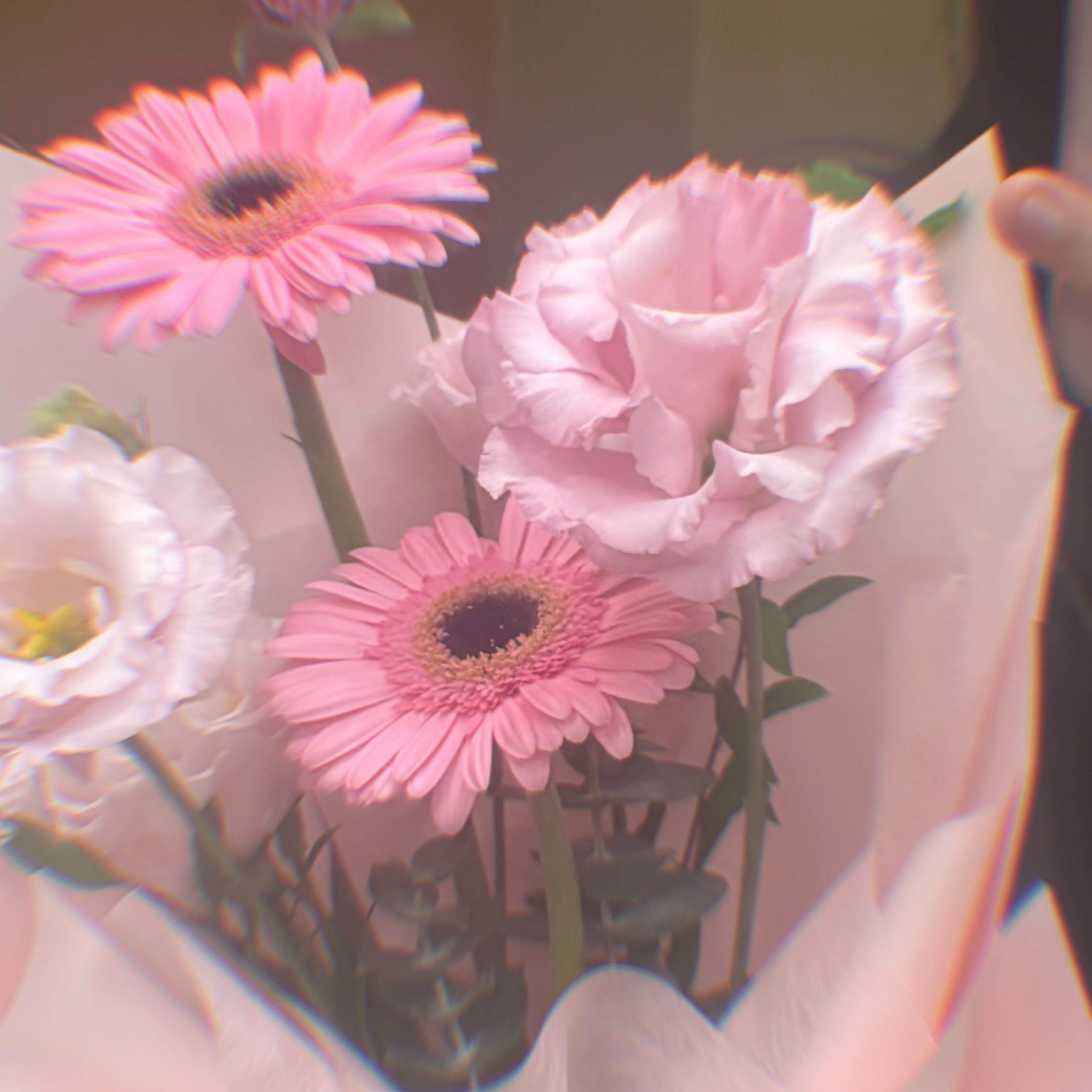 ๋ ๐จ แฉ
