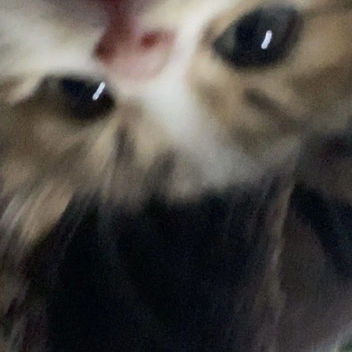 누리
