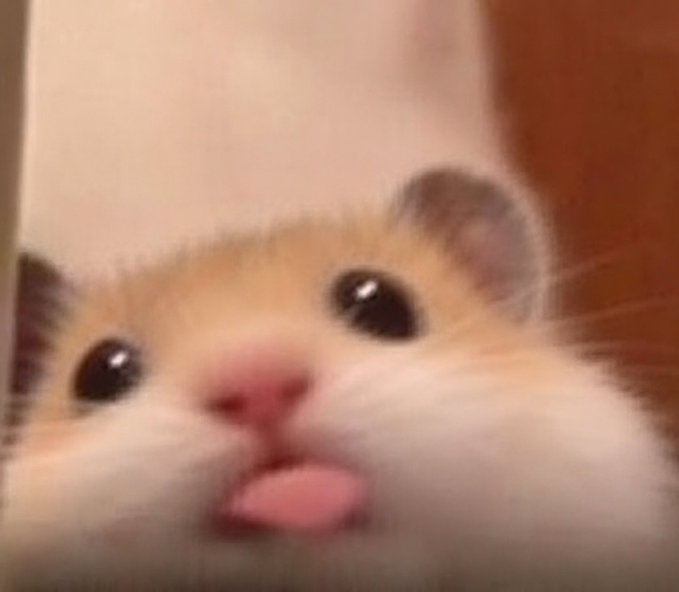 은하