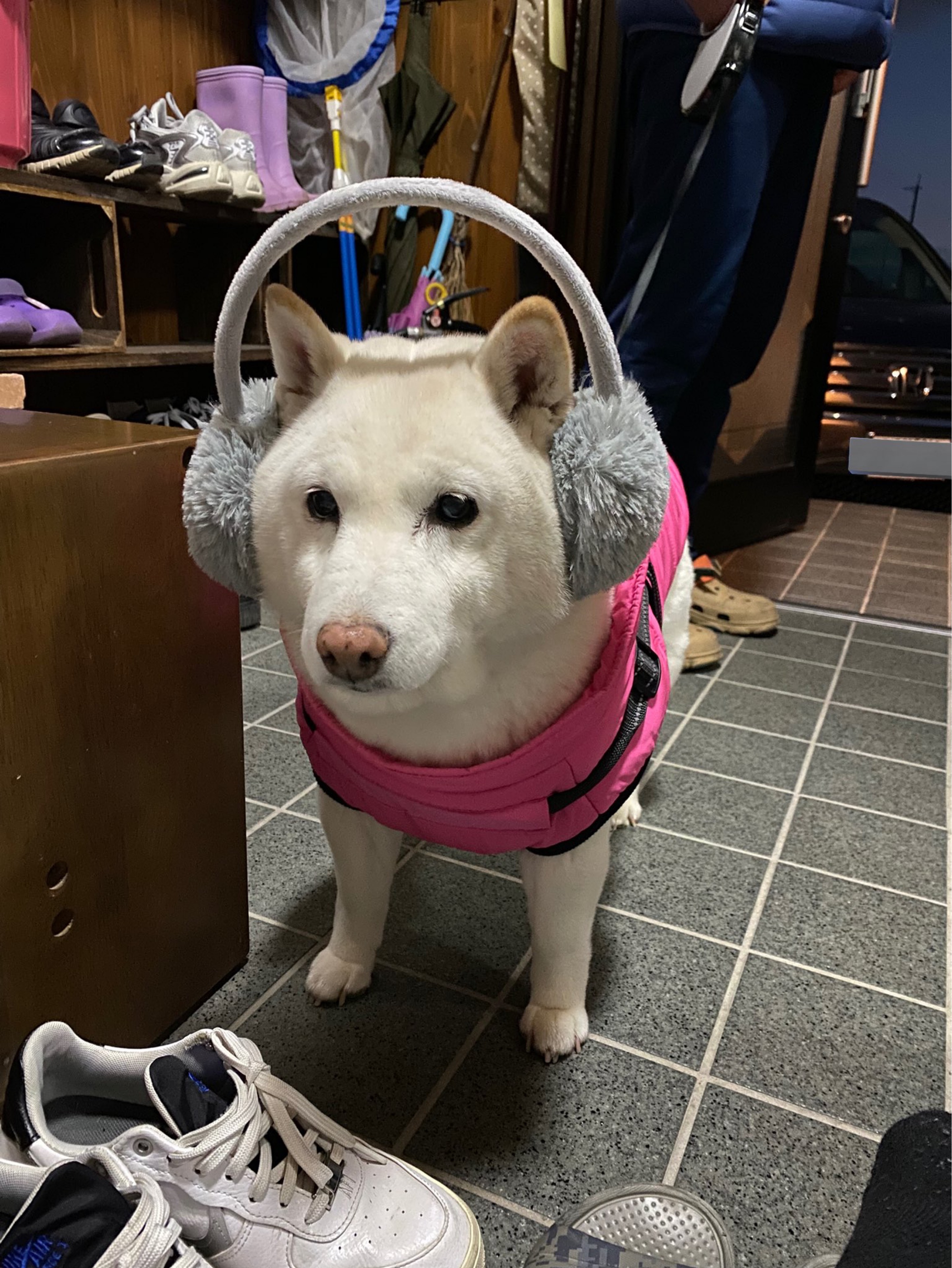 밈 ⁸⁰⁰ᴰ⁻²