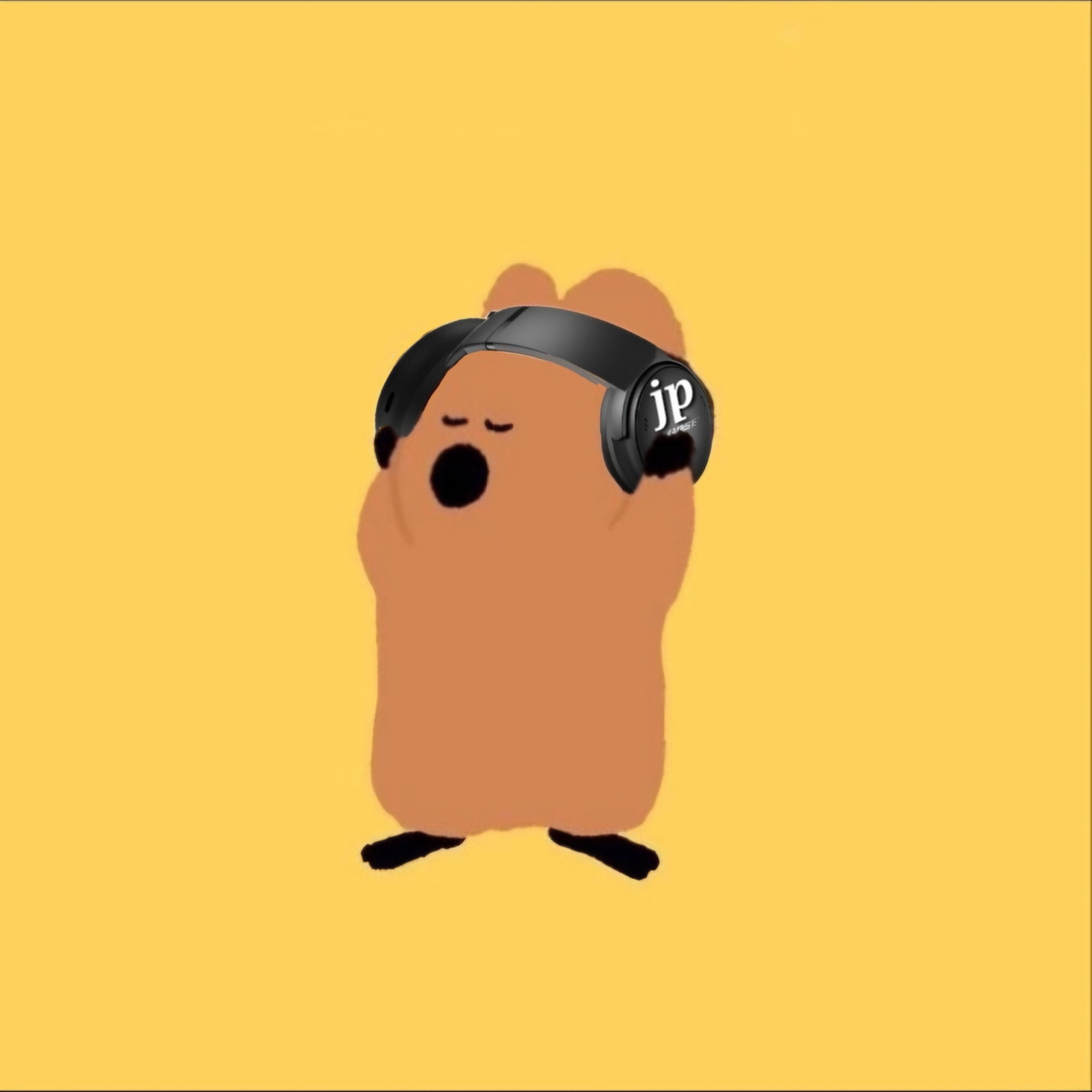 김 재 피