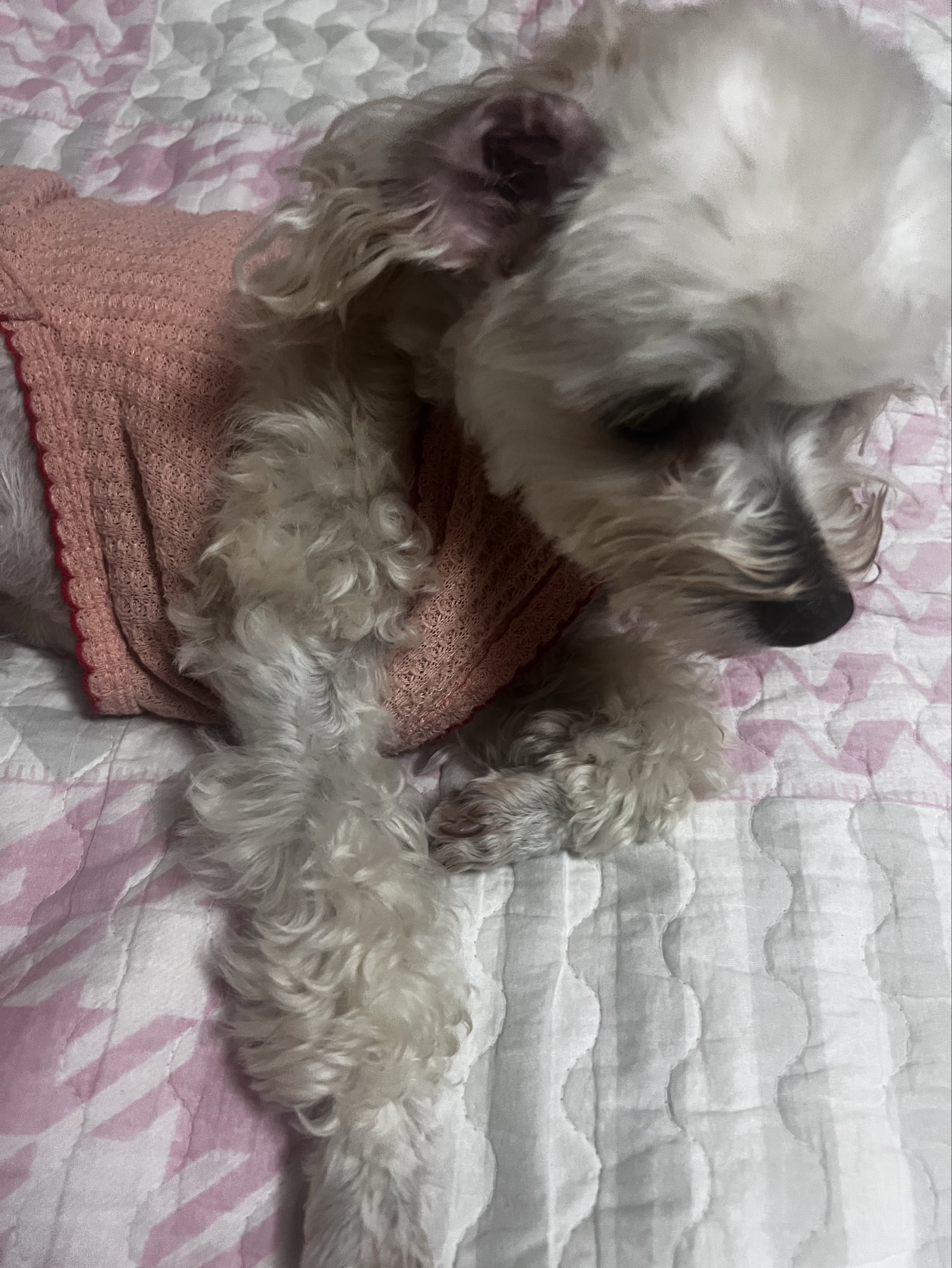 슝 슝