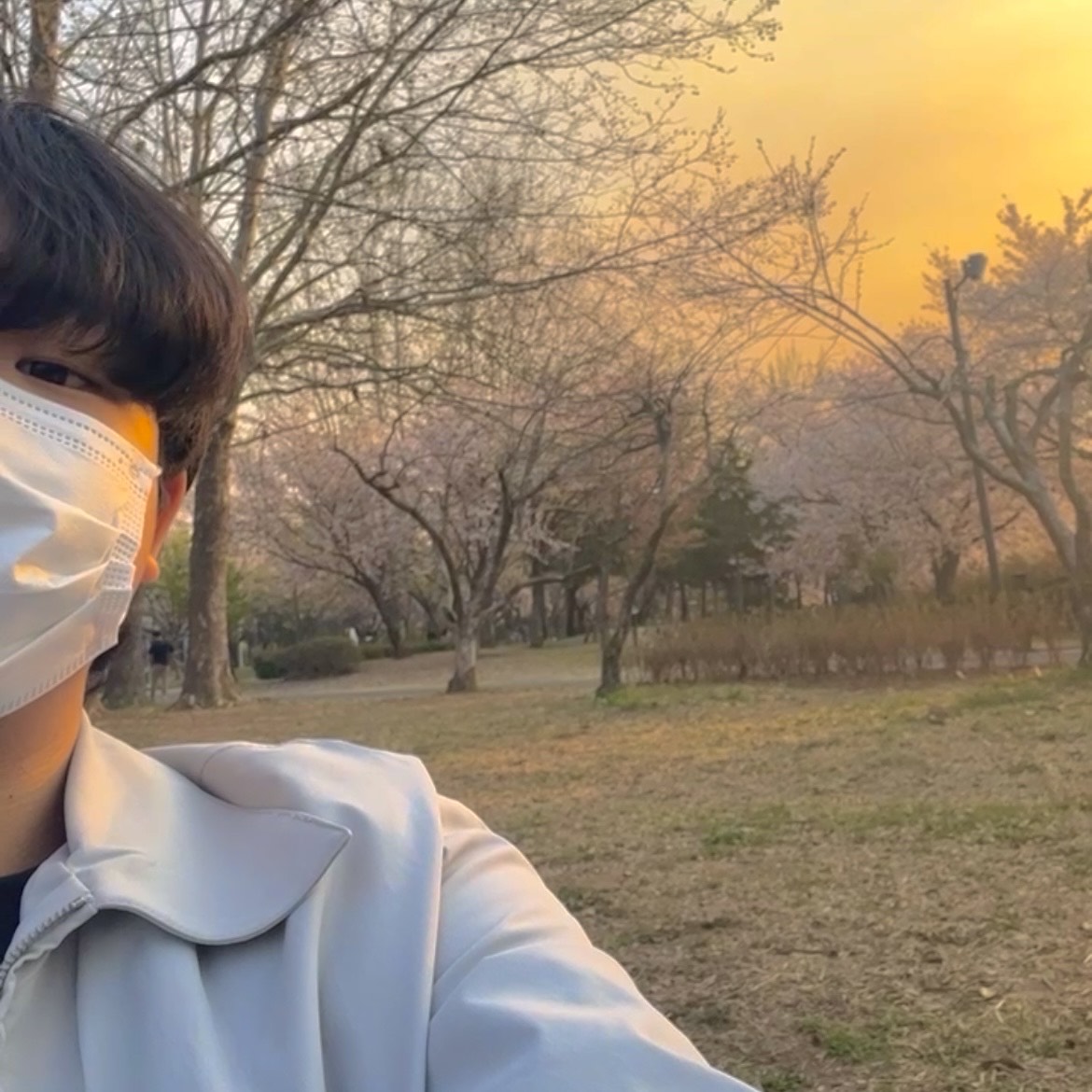 백 한 ‧˚ ﹌