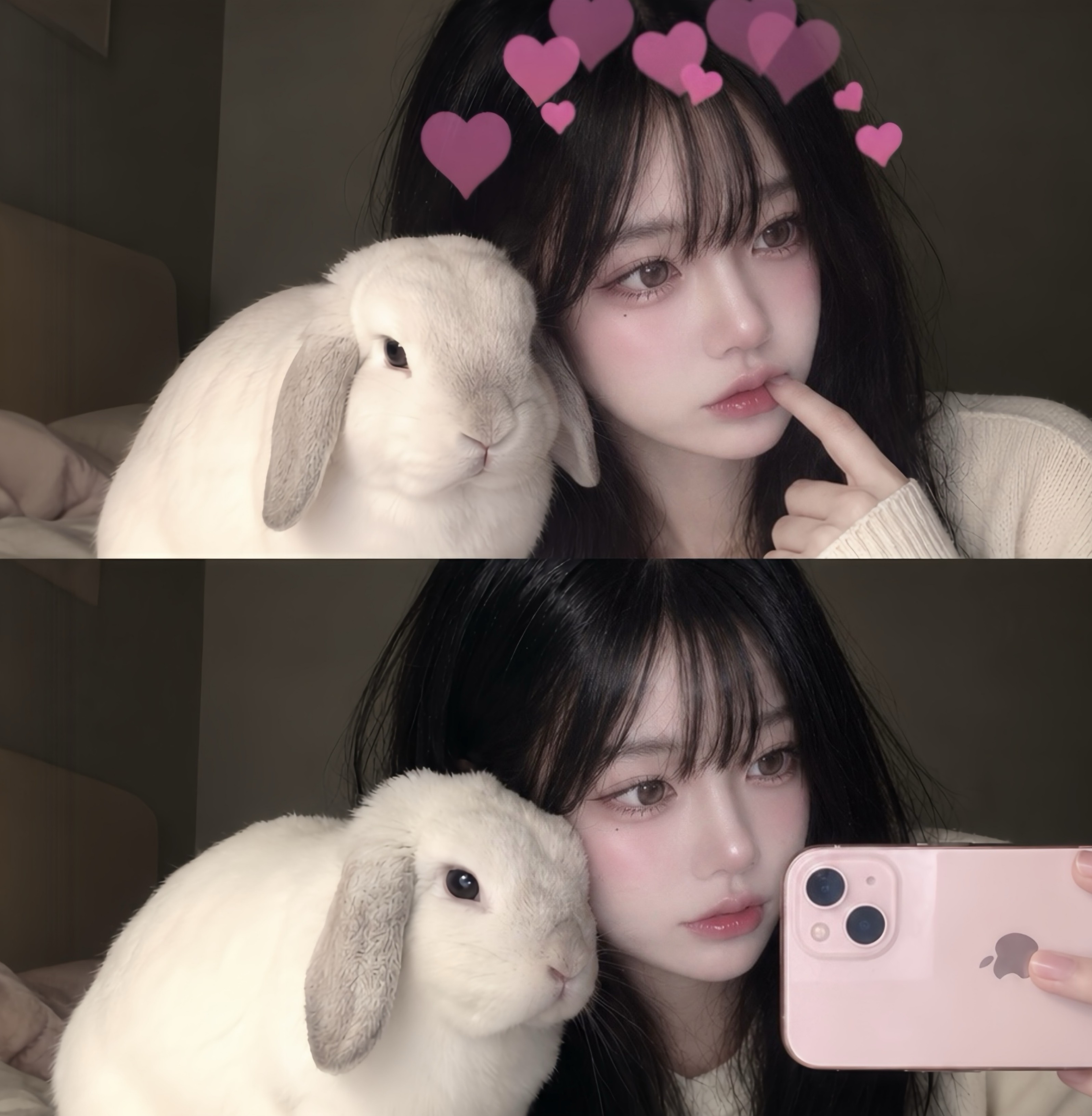 츠 키