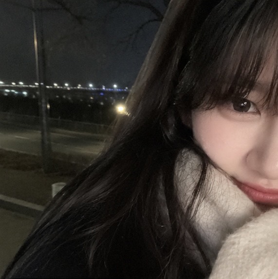 설