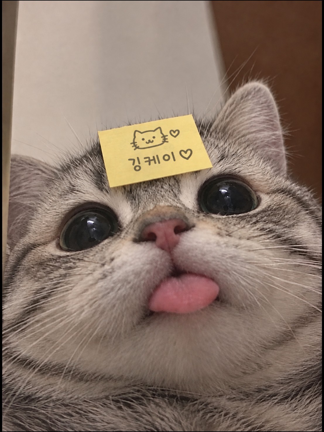     ᴋ ‮ 
