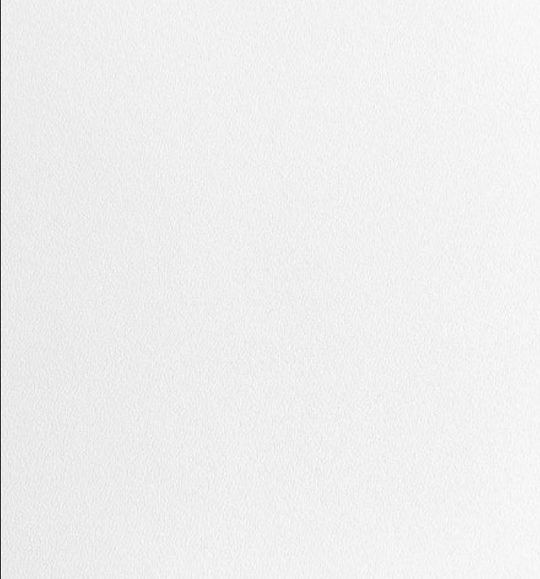 ㅤㅤㅤㅤㅤㅤㅤㅤㅤ