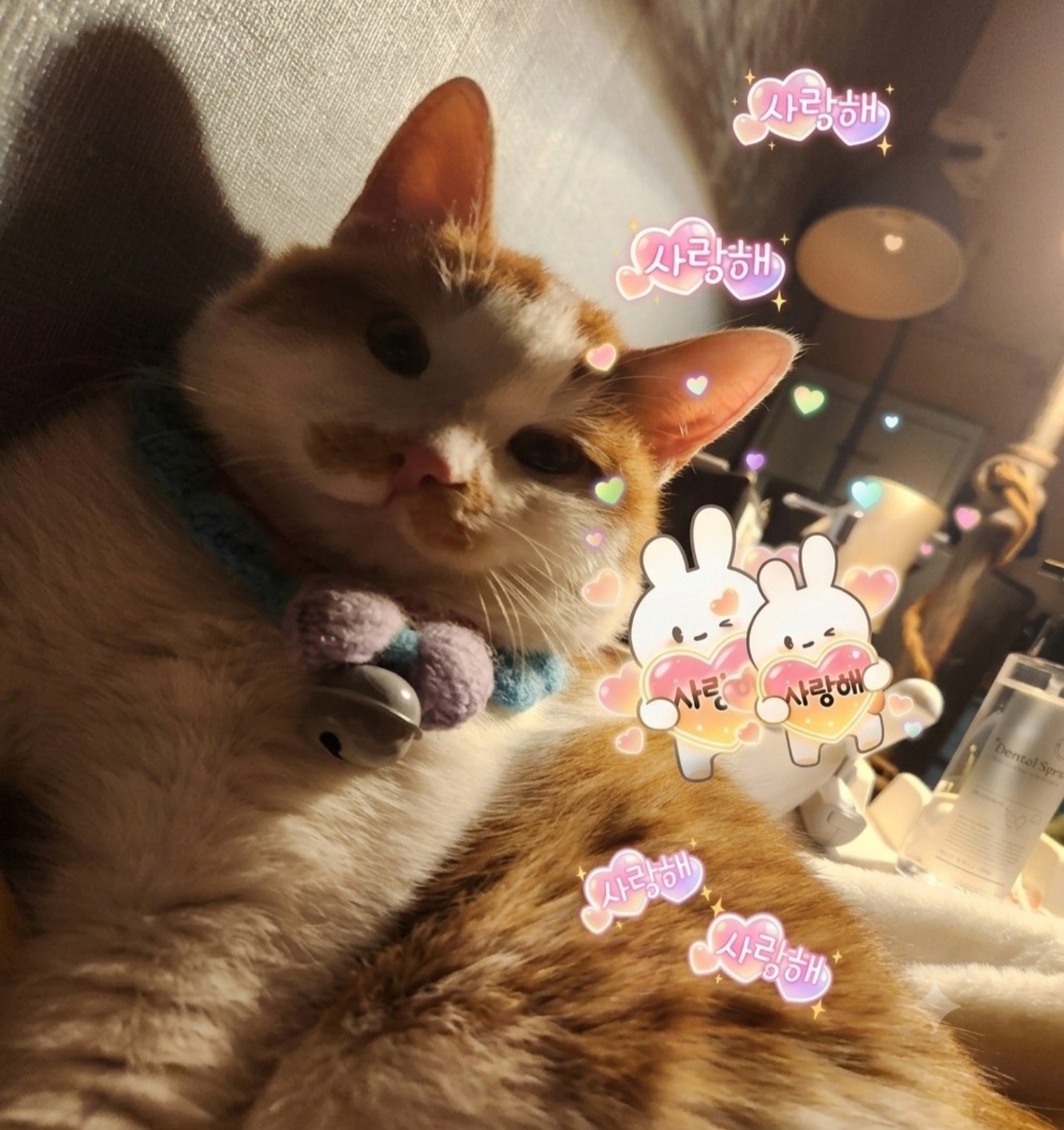 ๐ฉท์ใ
กใ
ก์ด๋งํผ ๋ฐ ํ ๐ฑ