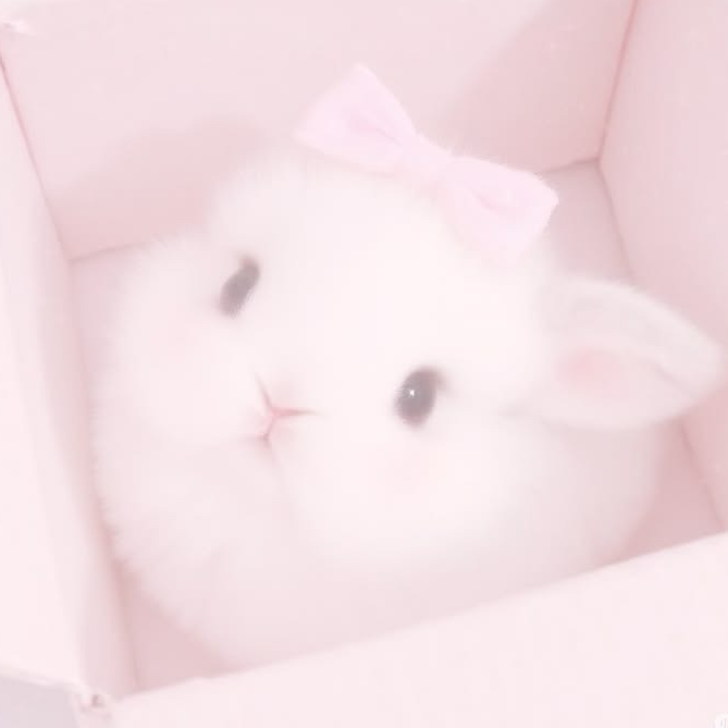 이 설