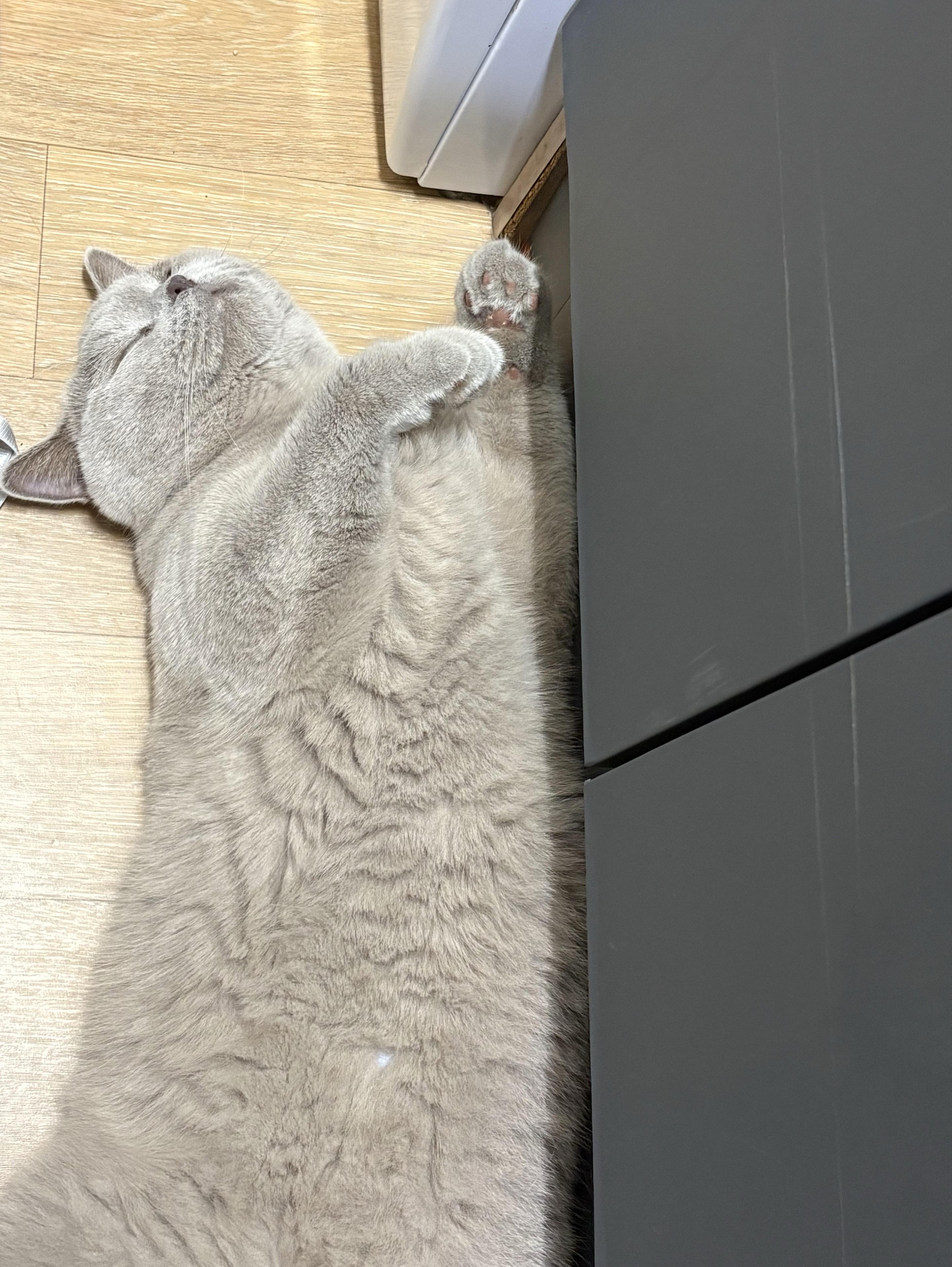 나루