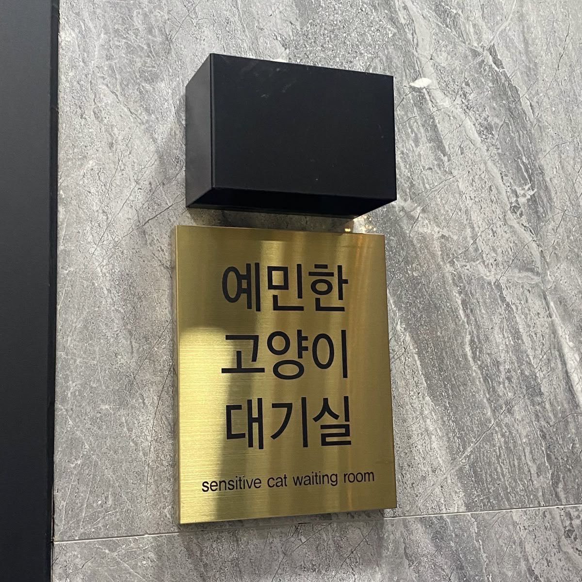 미 .*