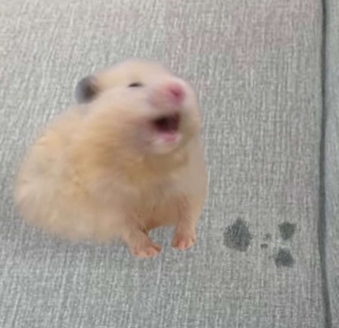 ๐จ๐ง๐ฆ ,