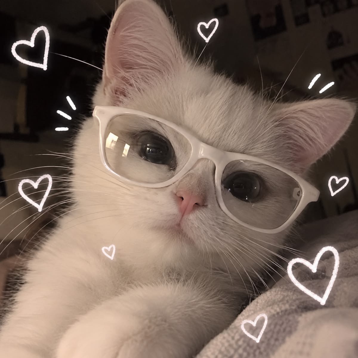 ㅤㅤㅤ