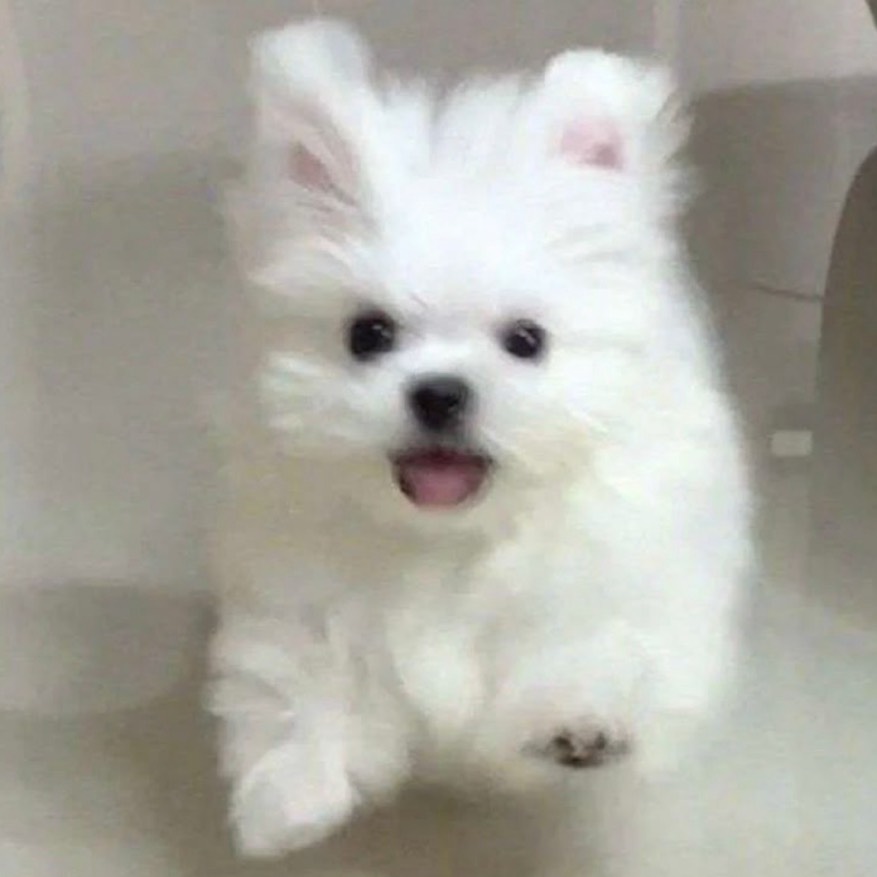♡