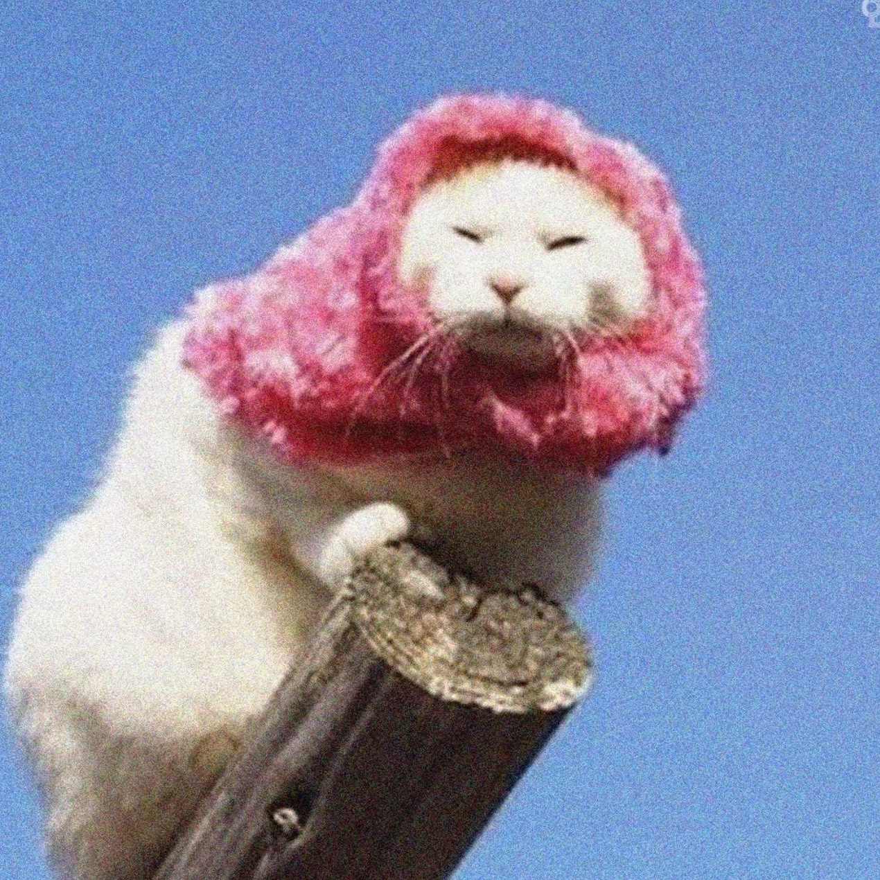 박잼민
