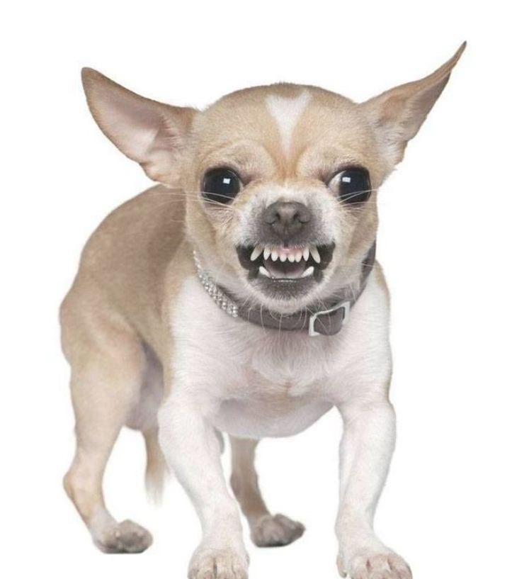 𝗢𝗙𝗙_귀요밍밍SOSO