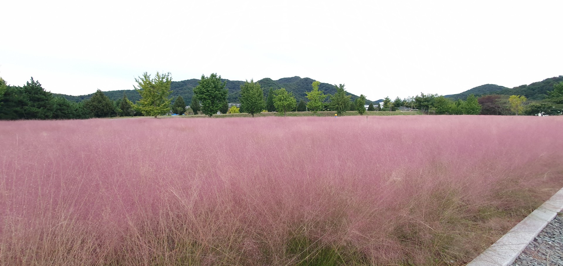 하 늘 천 국 ~*✈️ ⁸ʾ