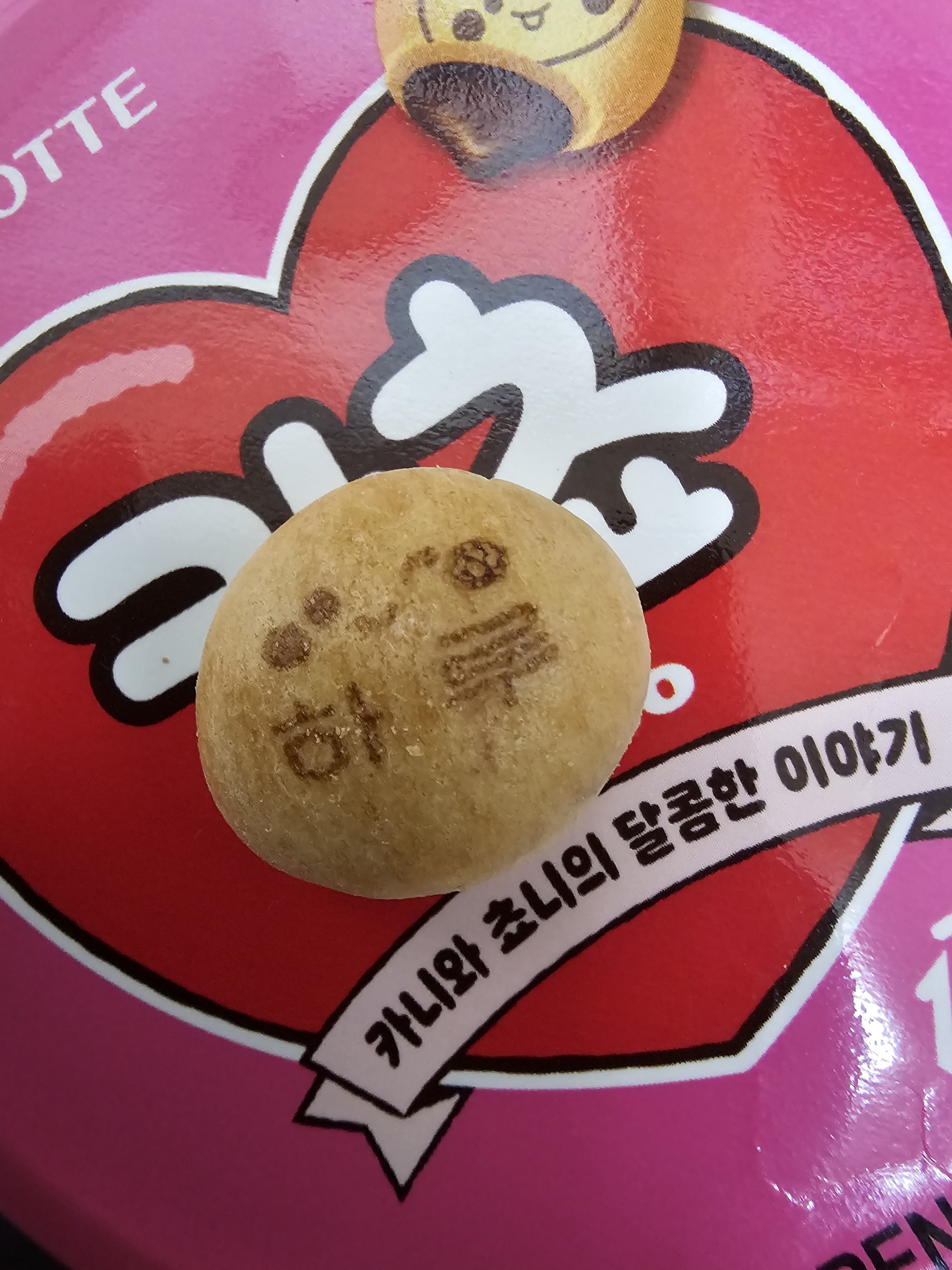 ɨʟ 하루 ᡴꪫ°•