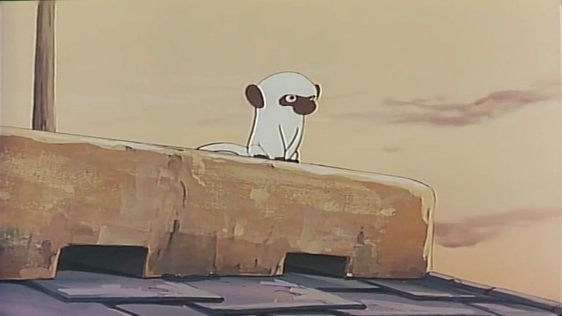 MY(아메디오 여정.)𓂃𖠚⭒