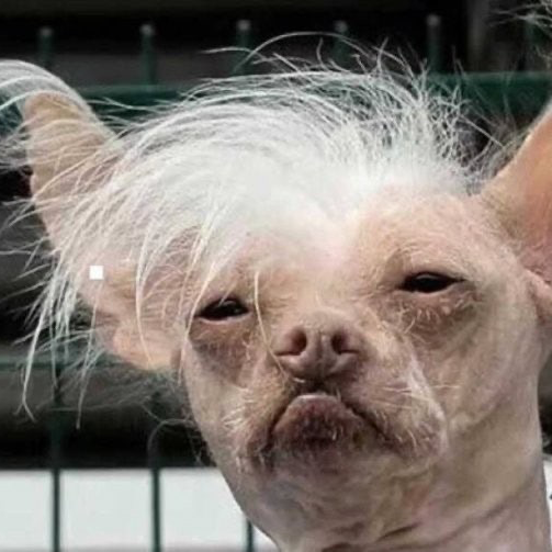 ๐ฎ ํธ ๋ฆฐฬฬ ๐ถ