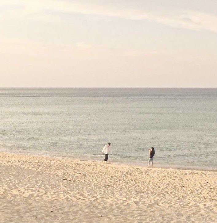 단일