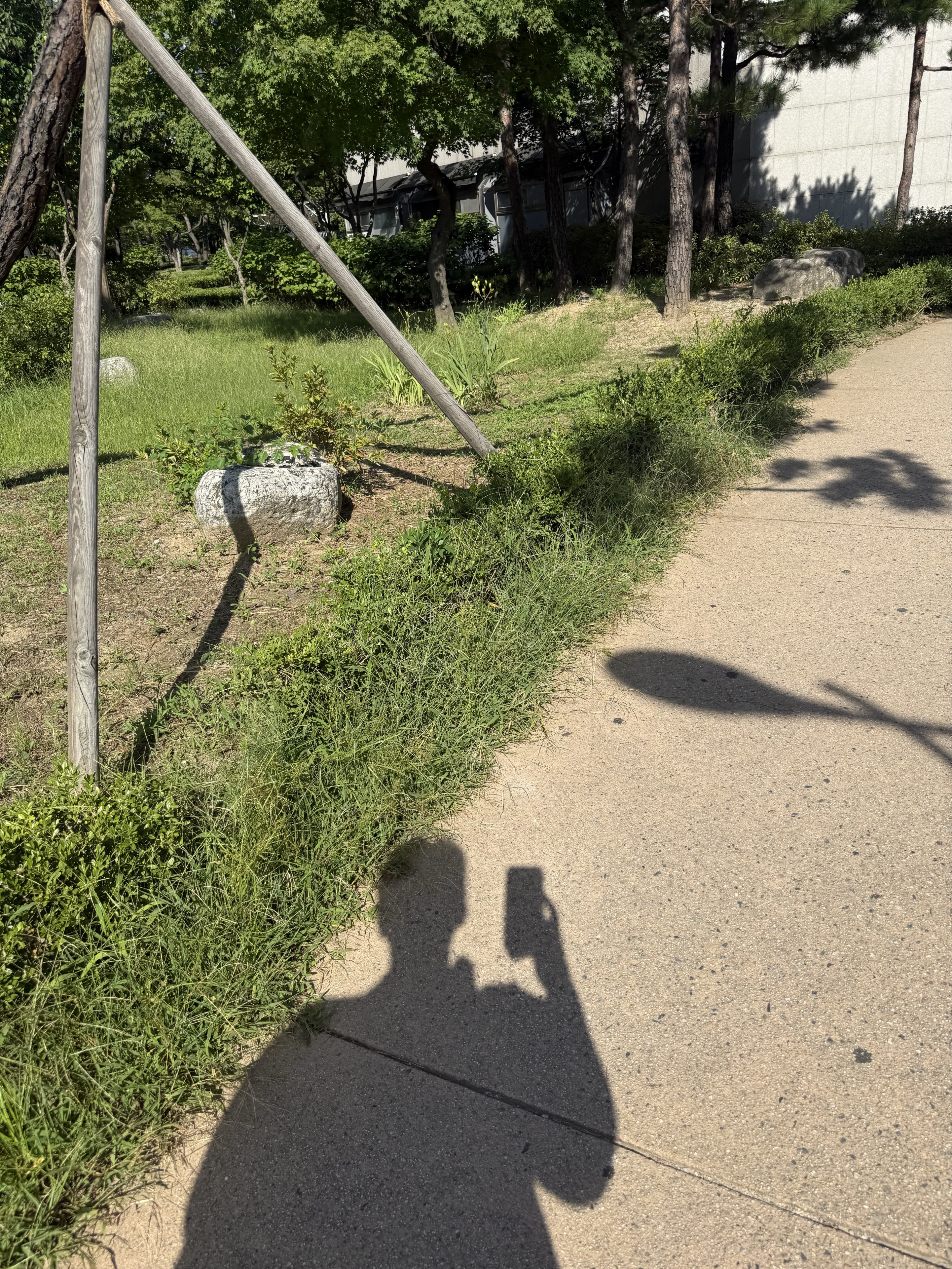 ꘪ *·˚ 서 뮤 어
