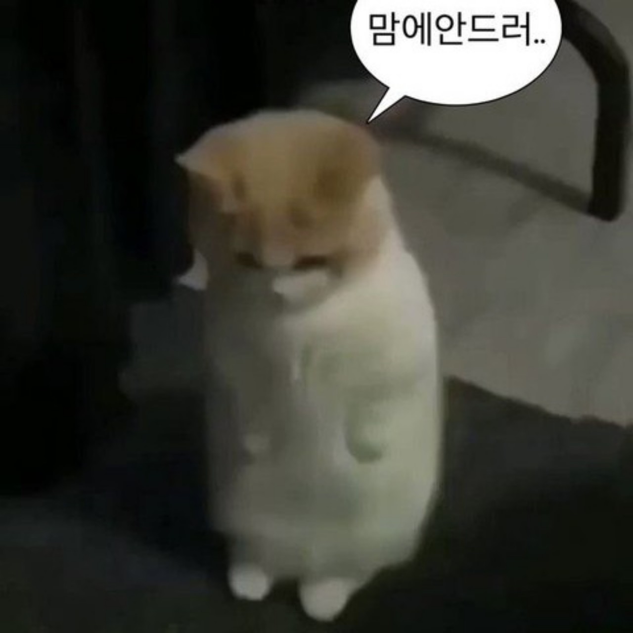 병아리