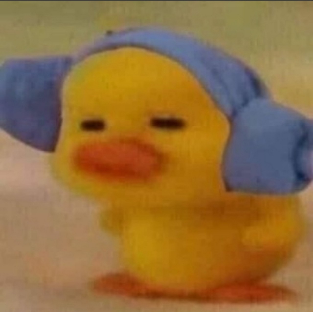 병아리