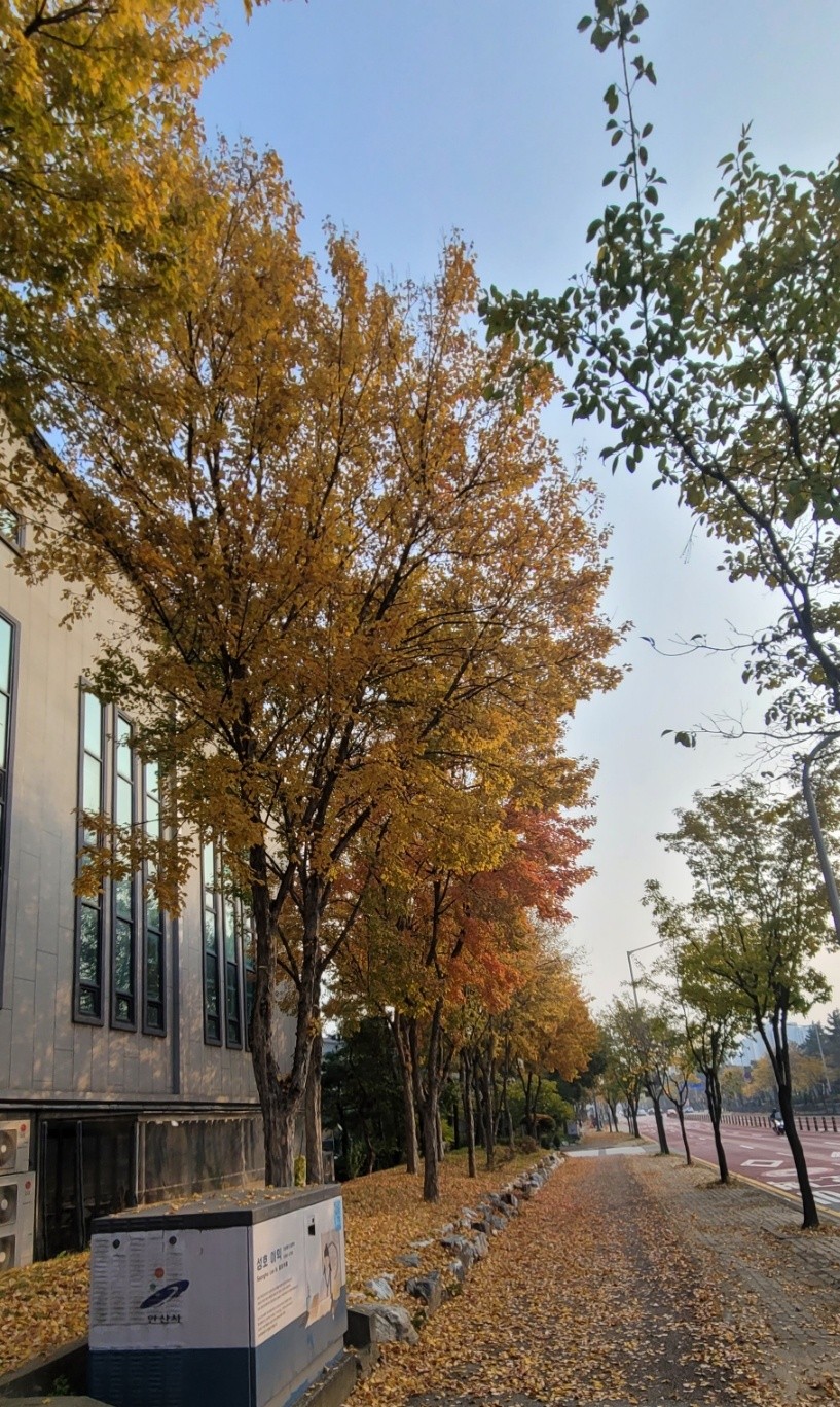 ✋️사랑해 ✝️너만을🌈