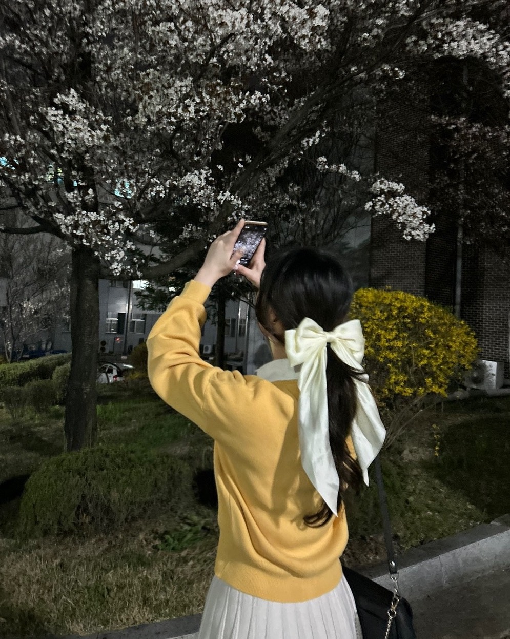 묘정 ₍ᐢ..ᐢ₎♡̷ ₌₃