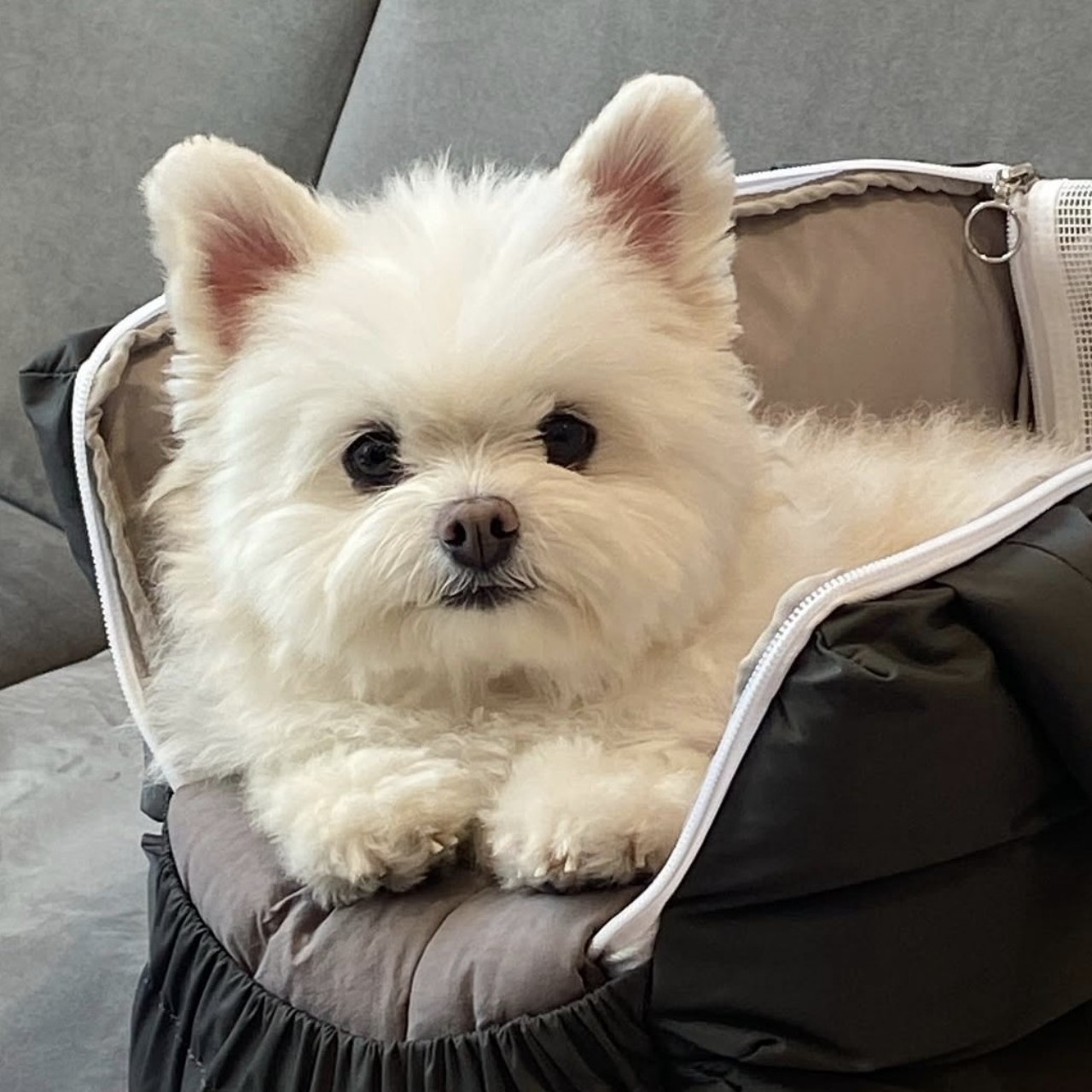 민 •᷅ࡇ•᷄ 지