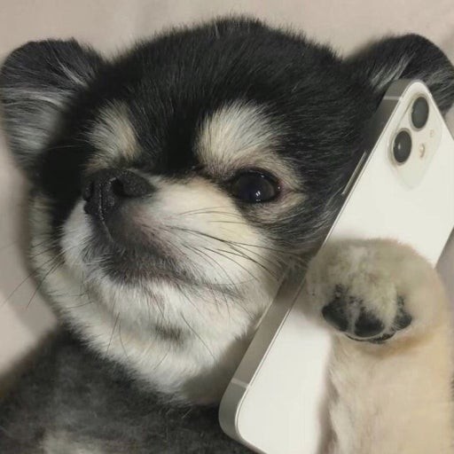 낌  소  깡₍ᐢ- ̫ - ᐢ₎