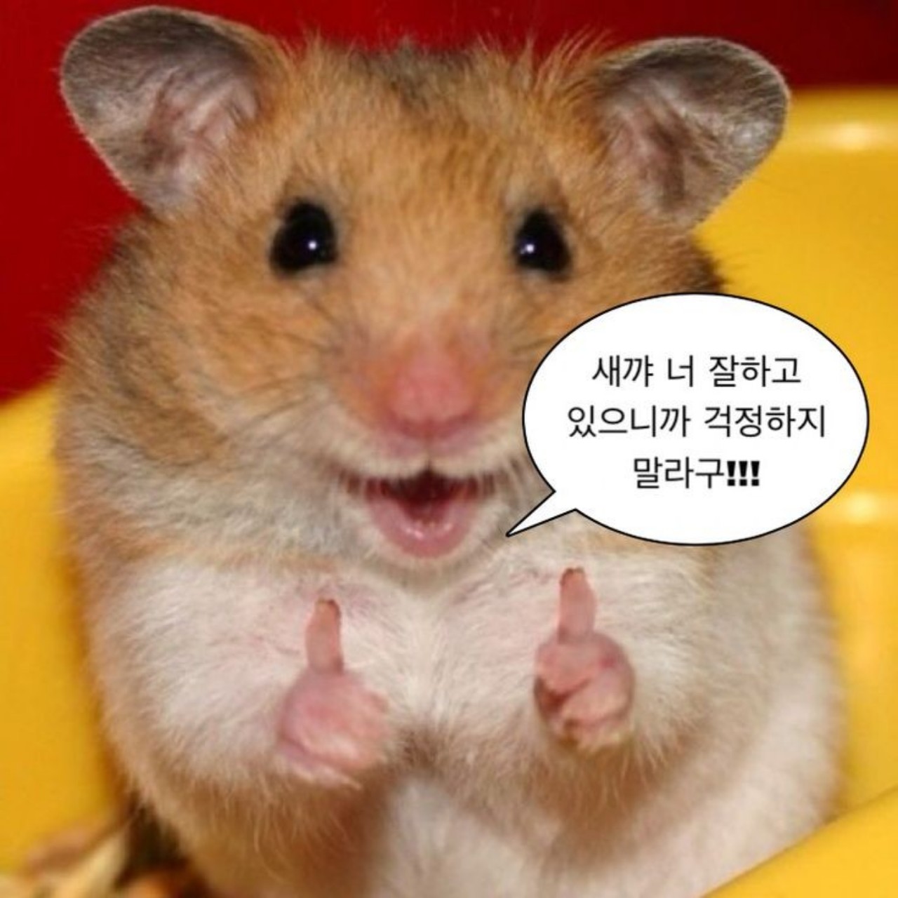 테스트용