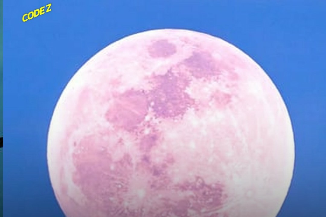 🌈레인보우🌈 _🧡