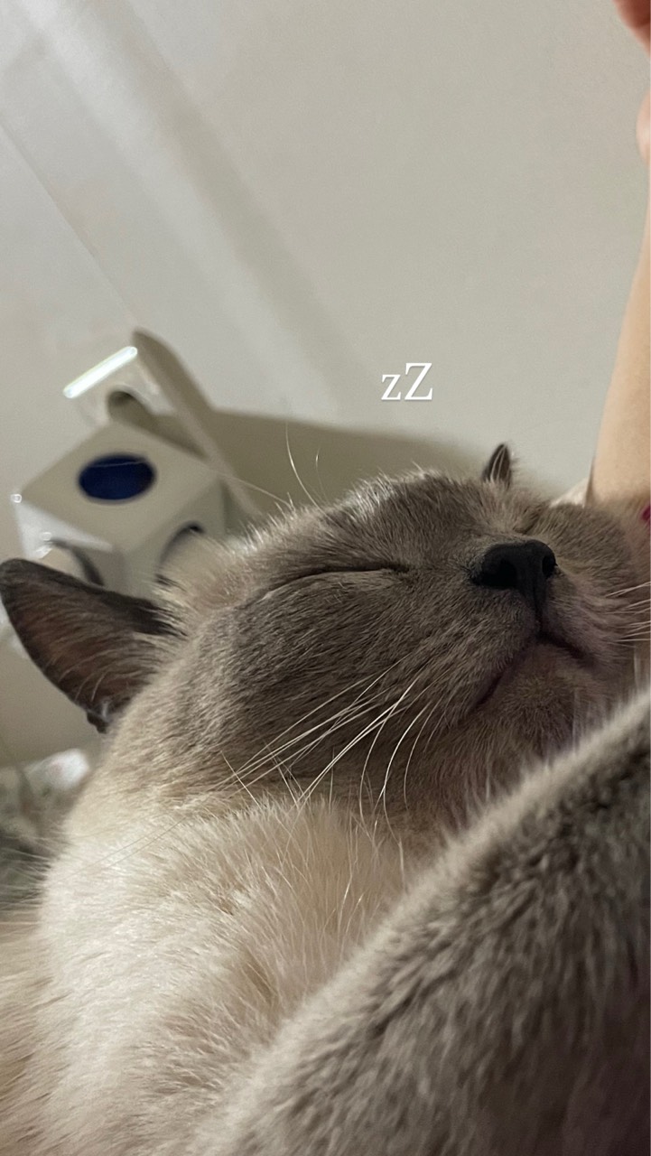 젠.