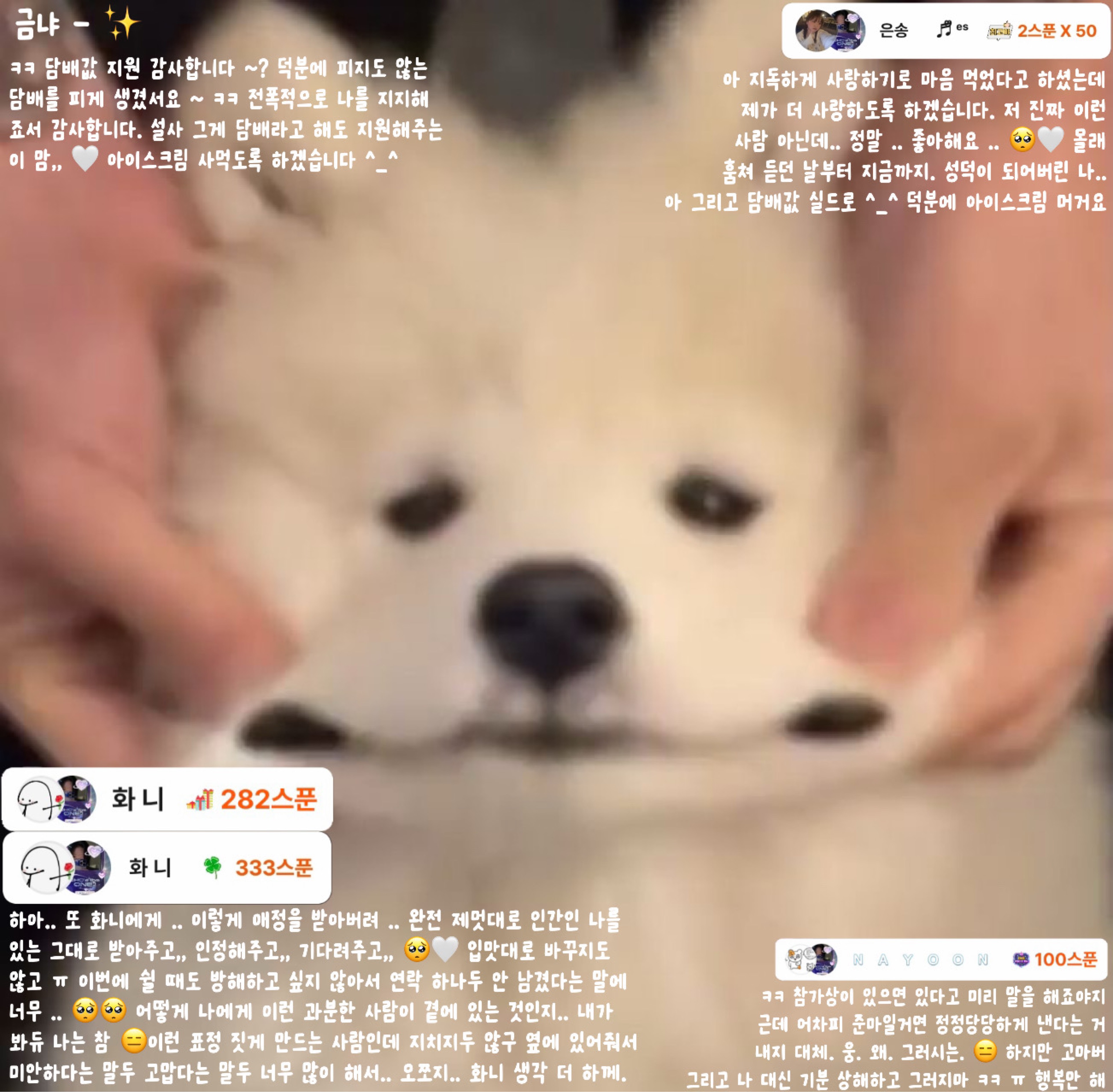 쩜   .•