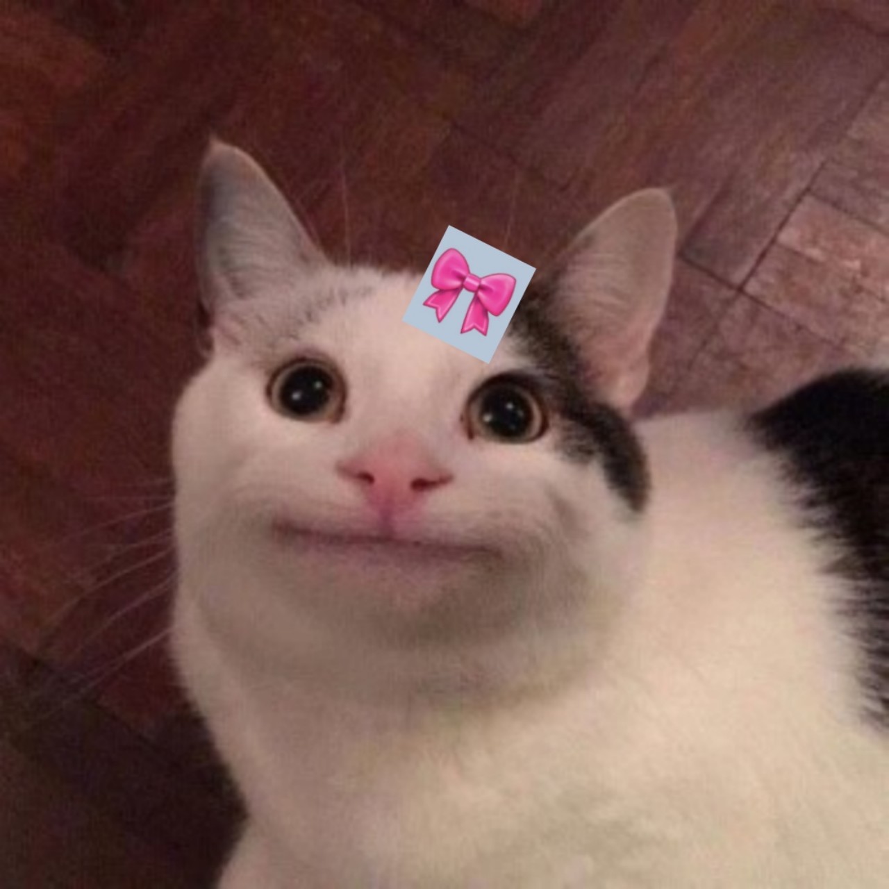 리 본 냥 냥 ε🍊з