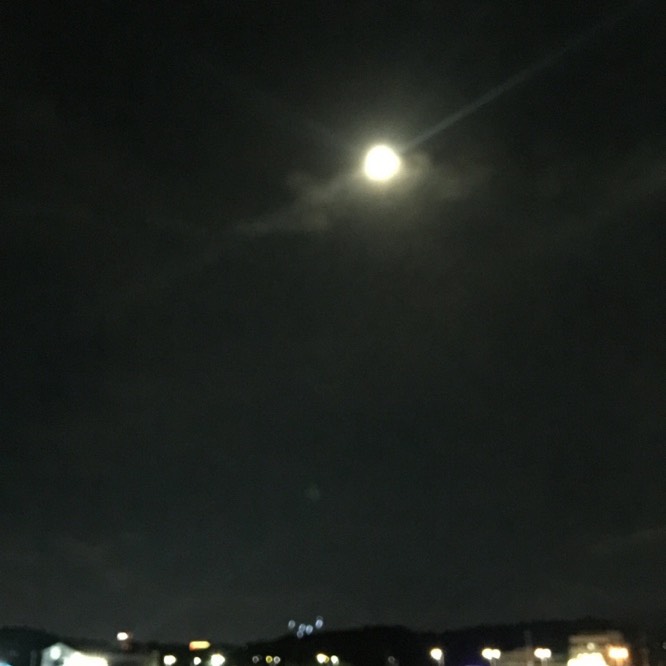 ㅤㅤᰔᩚ    𝓗