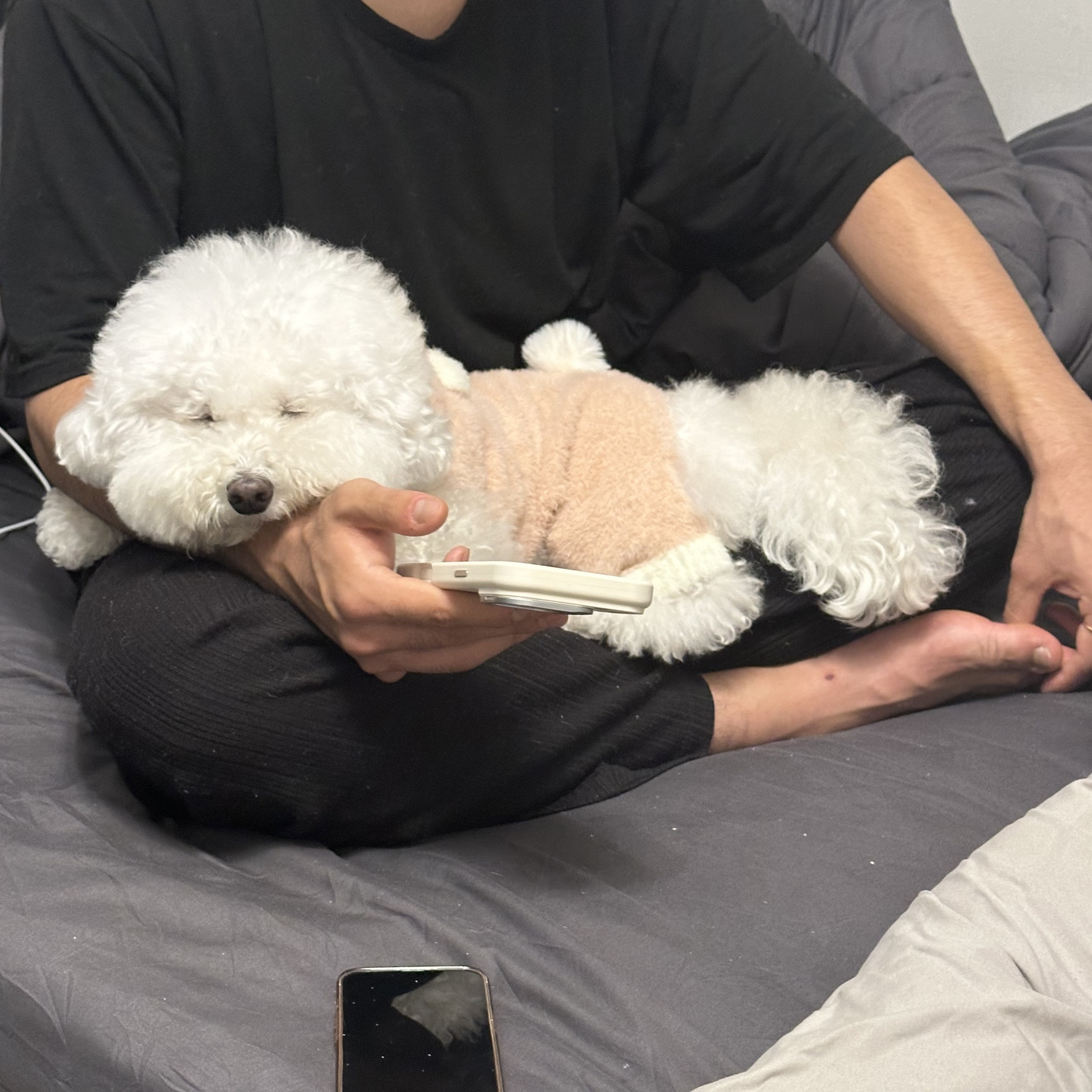 👶🏻 뿌 뿌 진 로 •͈₃•͈