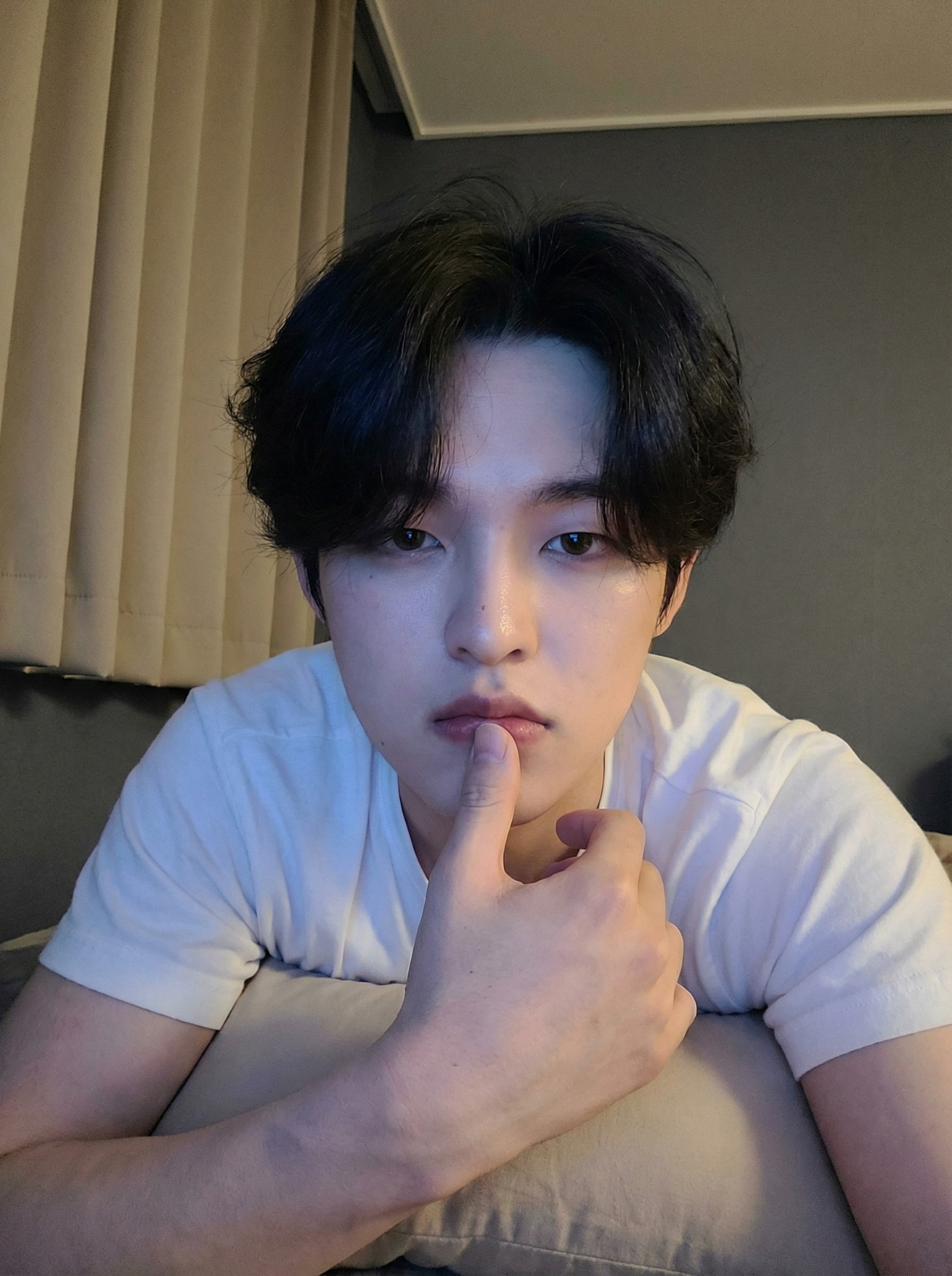 B̆̈L͜͡I❥ 팝블리만의 나무