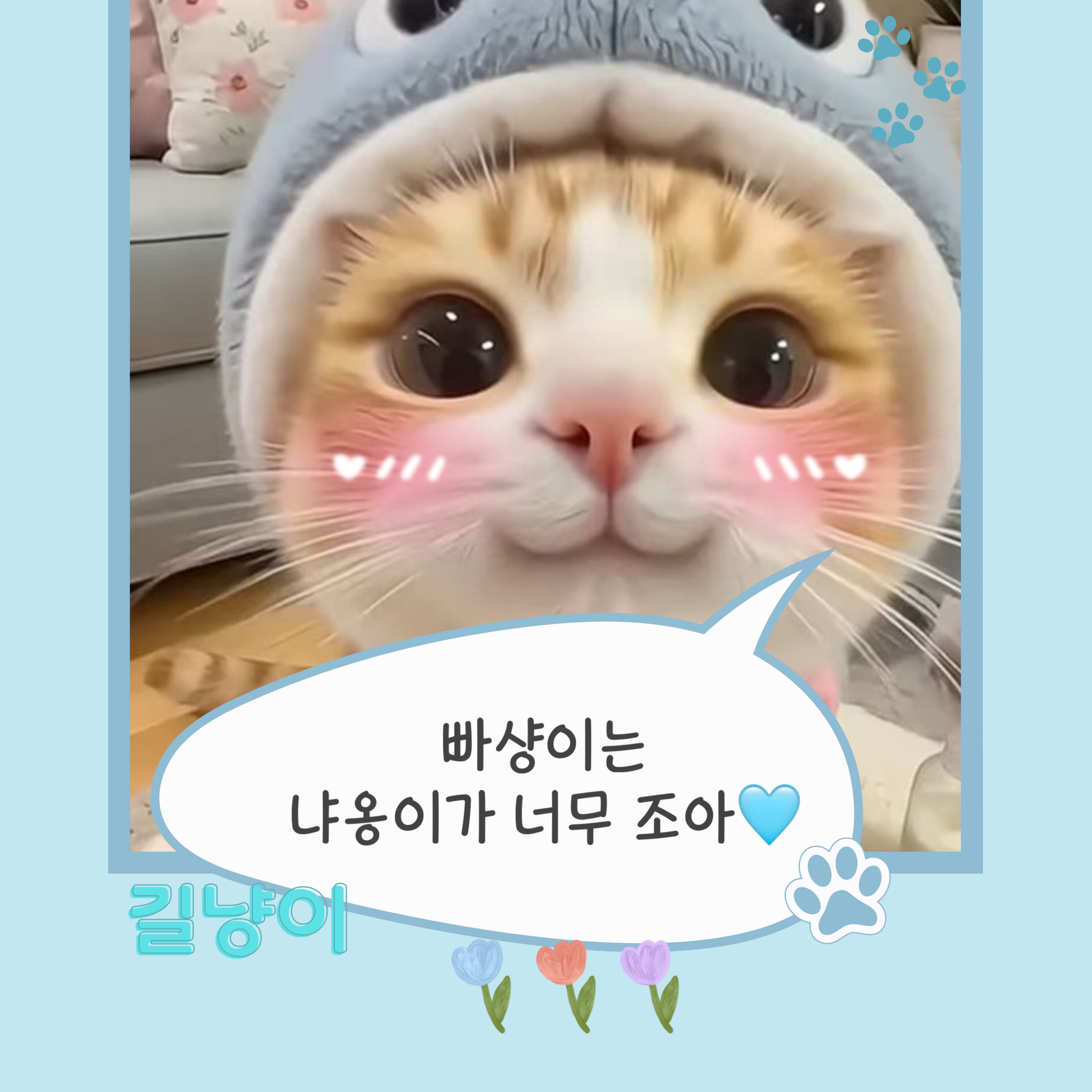 빠샹 ᶜᵃᵗ 🐈‍⬛