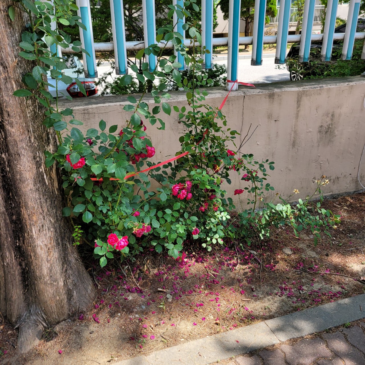 해피부인💗문상혁서방🐦💍💍