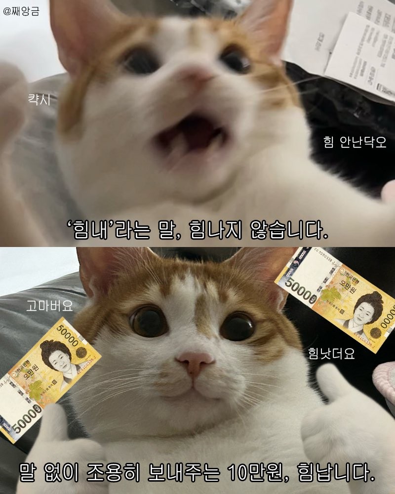 𖤝 라벨